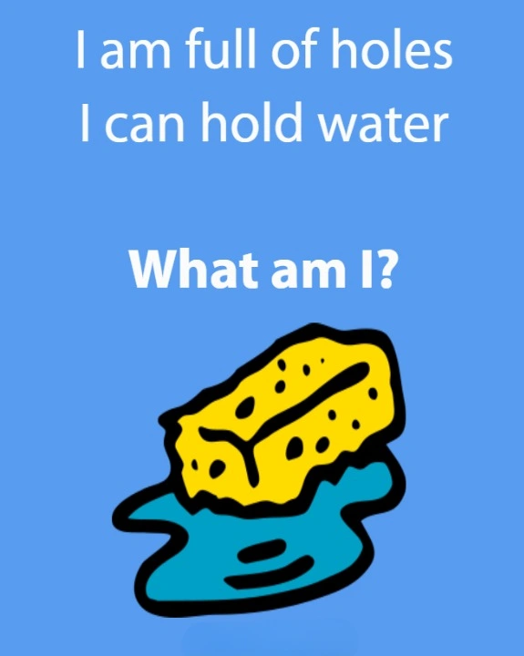 I am full of holes. I can hold water. What am I?