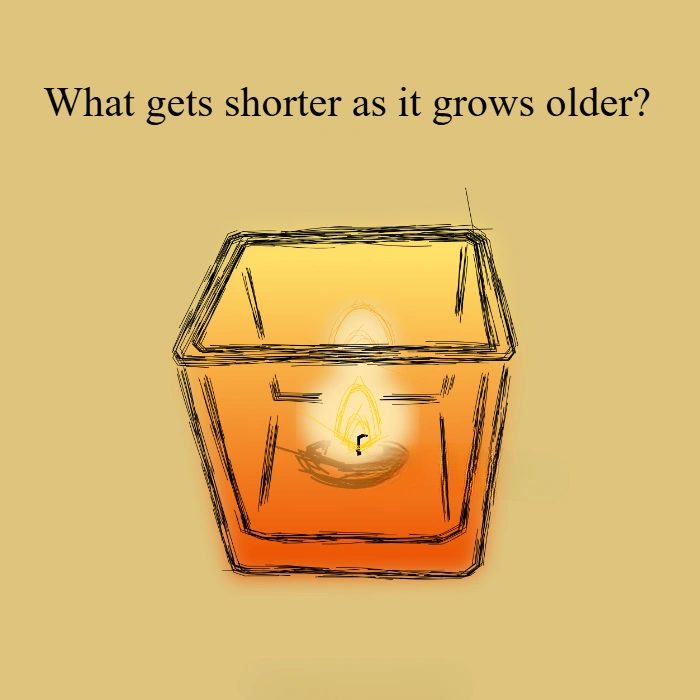 What gets shorter as it grows older?