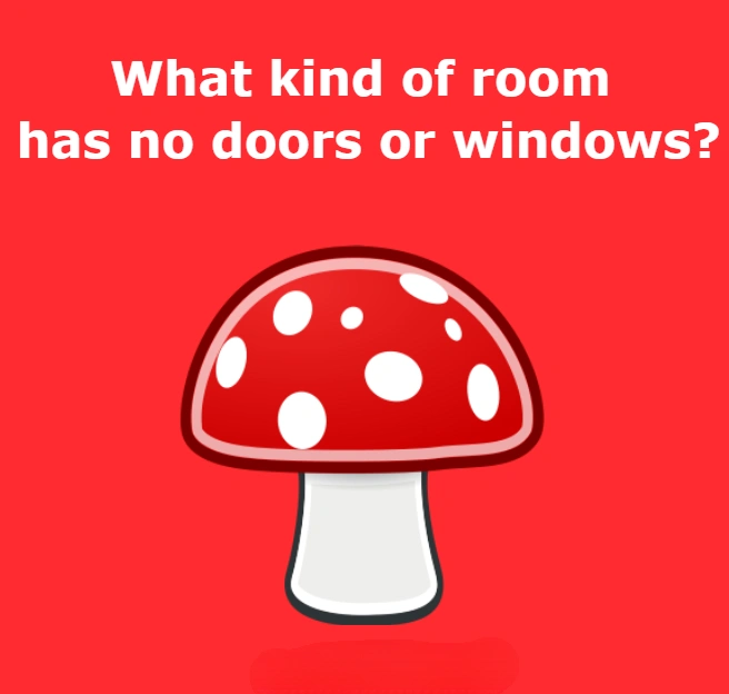what kind of room