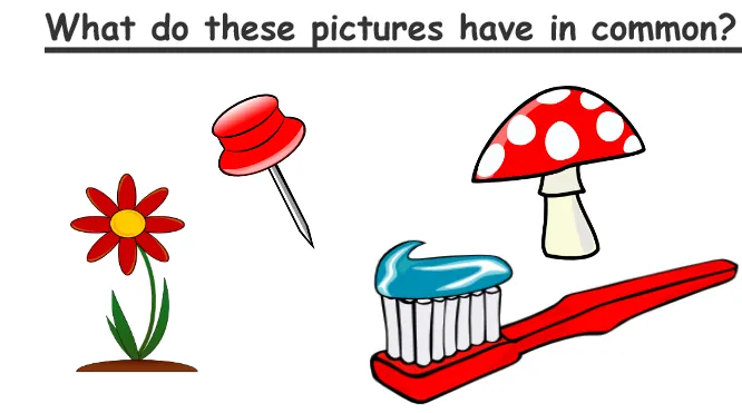 what do the pictures have in common?