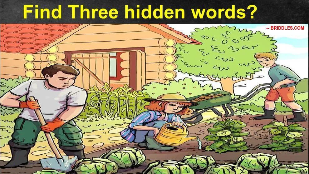 Can You Dind 3 Words Picture Riddle