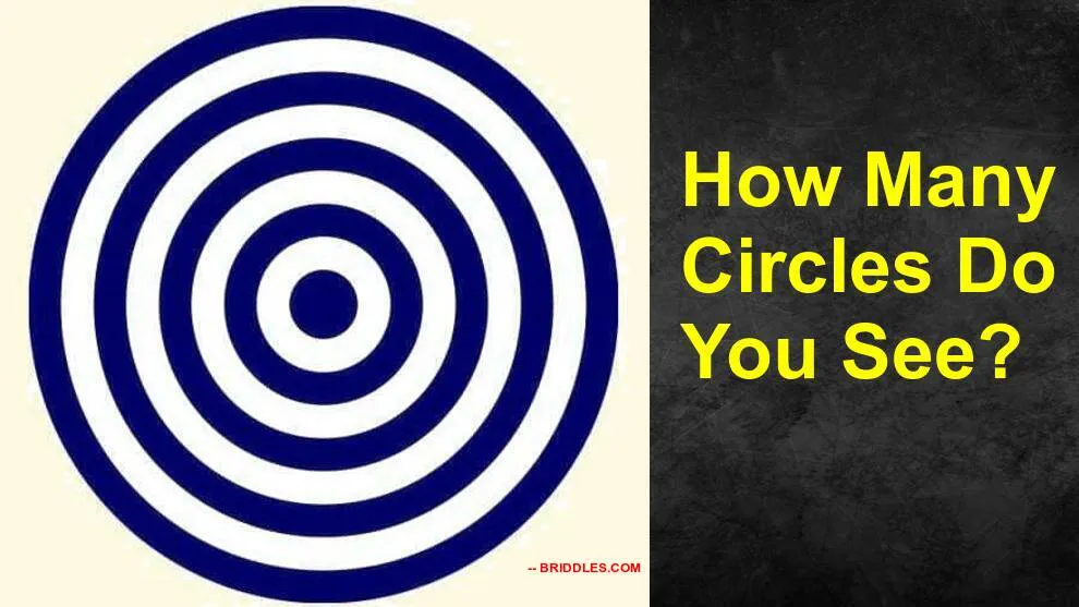 Count The Number Of Circles