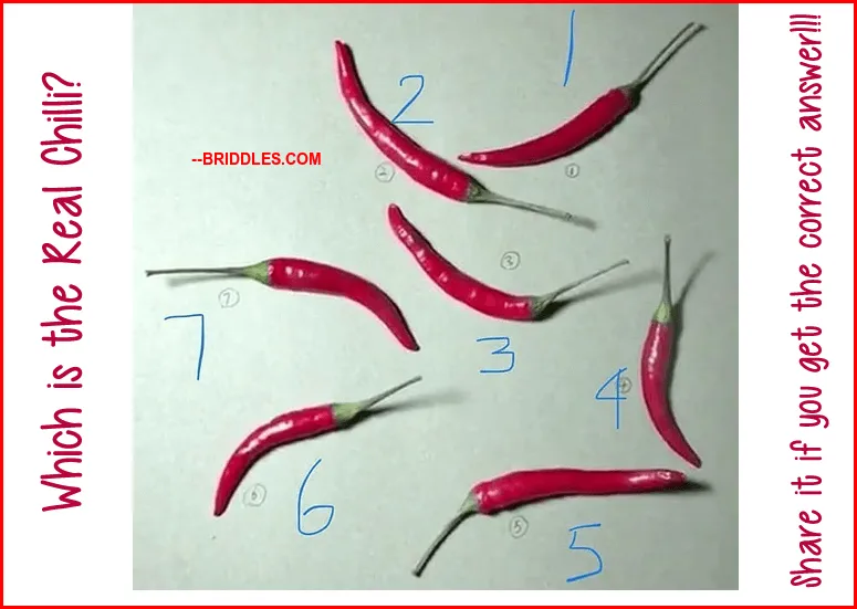 Fake Chilli Brain Teaser