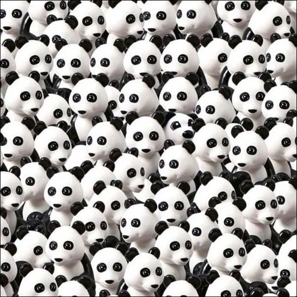Find The Dog Riddle