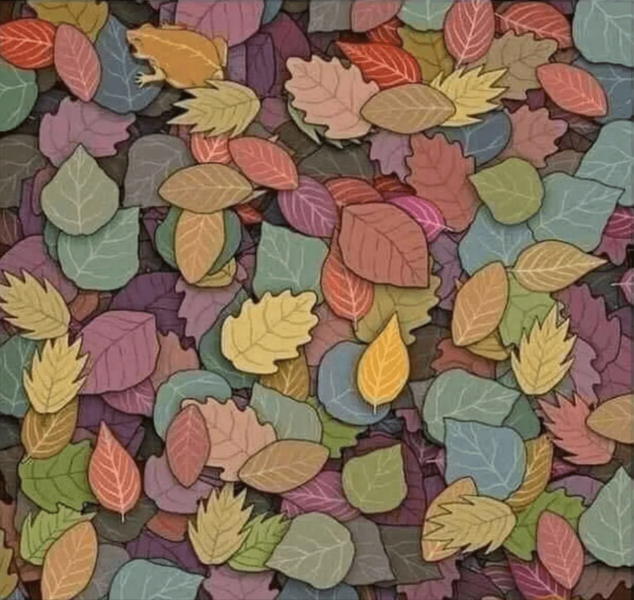 Find The Frog Riddle