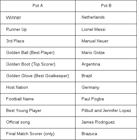 Football 2014 World Cup Puzzle