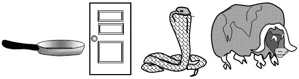 Hidden Meaning Picture Puzzle