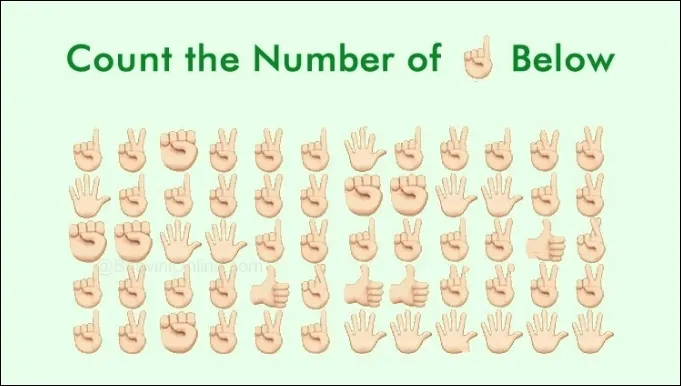Man Palm Counting Puzzle