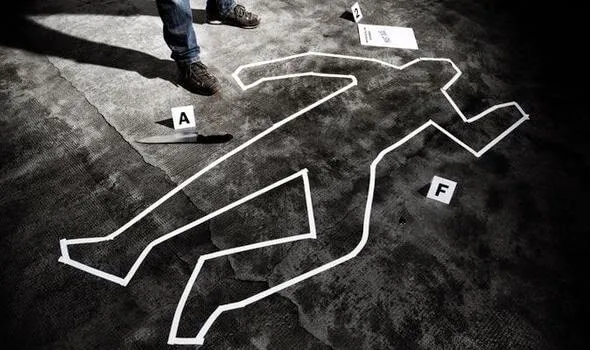 Murder Logic Puzzle