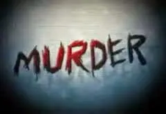 Murder Mystery Logic Puzzle