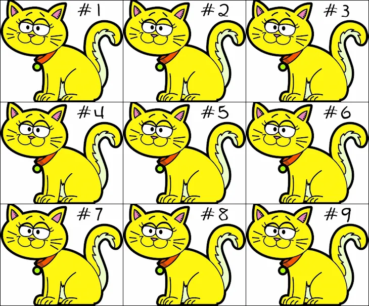 Two Identical Picture Puzzle