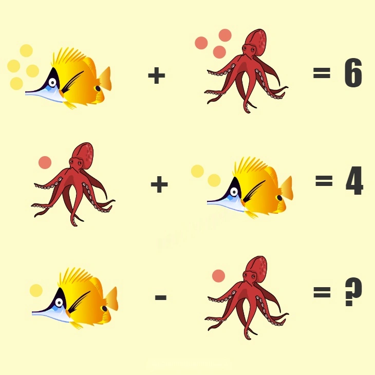 fish and octopus