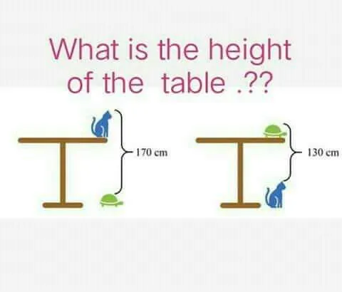 Picture Puzzle