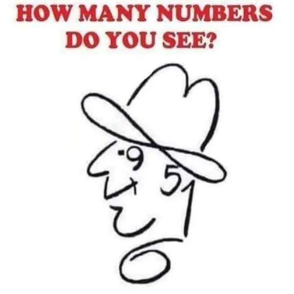 Picture Puzzle