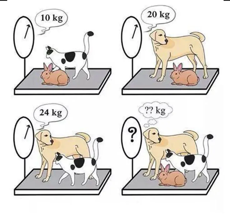 Picture Puzzle
