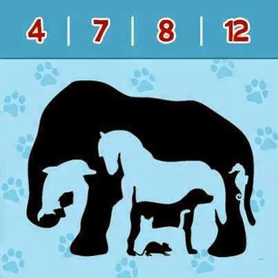 Picture Puzzle