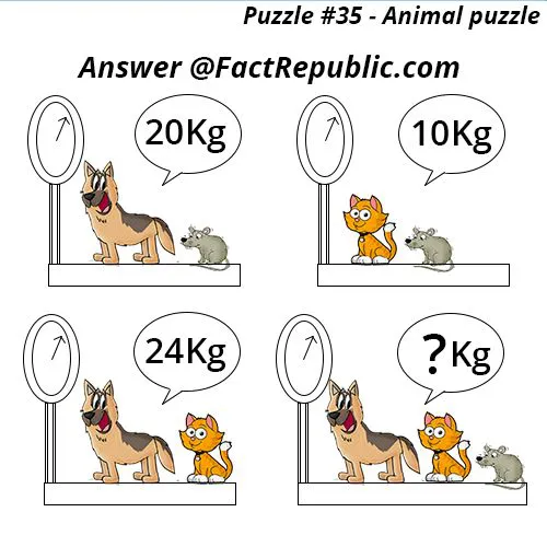 Picture Puzzle
