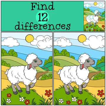 Children games: Find differences. Cute little sheep.