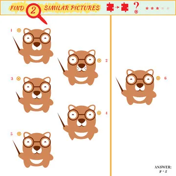 Find two similar pictures