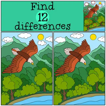 Children games: Find differences. Cute bald eagle flying under the forest
