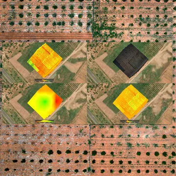 map aerial crop analysis and precision agriculture, vegetation index, drone Normalized Difference Vegetation Index mapping, crop health maps, field reports, maps orthomosaic agricultural automation