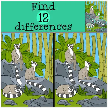 Educational game: Find differences. Three little cute lemurs.