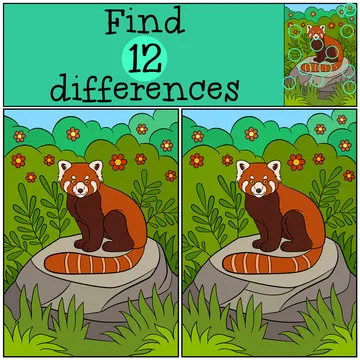Educational game: Find differences. Little cute red panda.