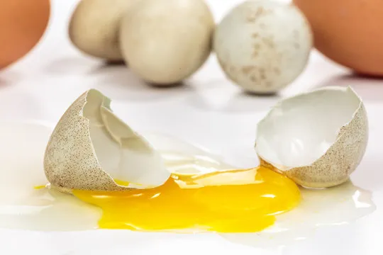 Broken partridge egg on white. Different partridge and chicken eggs at background