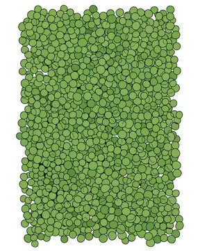 Abstract Green Circles Pattern Representing a Dense, Clustered Arrangement of Spheres, Offering a Visually Engaging and Organic Texture for Various Design Applications and Backgrounds