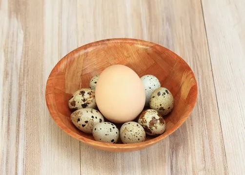Partridge eggs and one chicken egg for contrast / Big chicken egg surrounded by quail spotted eggs  on wooden table