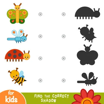 Find the correct shadow, education game. Collection of insects