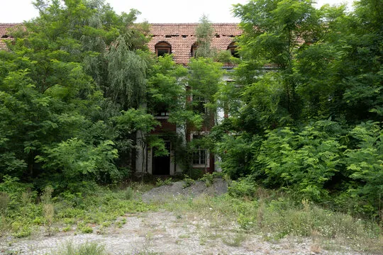 Schlosswald oder Waldschloss ? Ein Unterschied ist nicht mehr zu erkennen