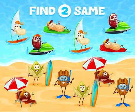 Two same cheerful nuts on summer vacation. Kids game worksheet, child educational quiz, logical vector puzzle searching activity with funny peanut, hazelnut and pistachio, cashew, walnut personages