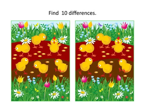 Little chicks feeding at the back yard. Find ten differences visual puzzle.