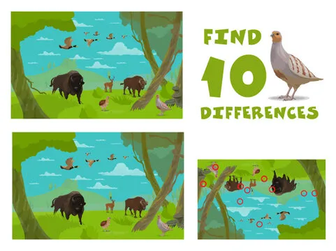 Find ten differences. Cartoon wild animals. Child matching game, difference search vector children puzzle or objects comparing kids quiz with duck and quail birds, bison buffalo, deer forest animals
