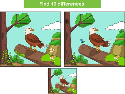 Cartoon eagle. Found 10 differences. Kids Education games. Cartoon vector illustratiosn