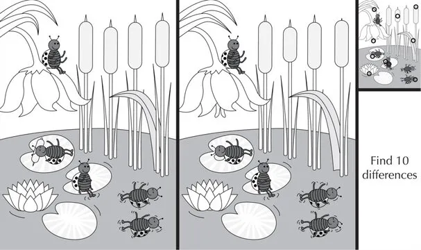 Finding differences puzzle