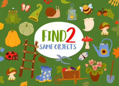Find two same autumn leaves, animals, plants and gnome garden tools. Details search quiz, same picture finding playing activity vector worksheet with frog and bumblebee, snail, ladybug, wheelbarrow