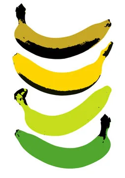 Banana ripening stages. Pop art style illustration. Perfectly suited for vibrant and fashionable t-shirt and hoodie prints.