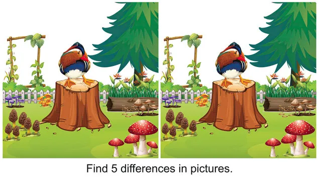 Beautiful garden with beautiful birds find 5 differences in the picture.