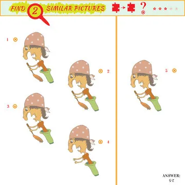 identical two pictures